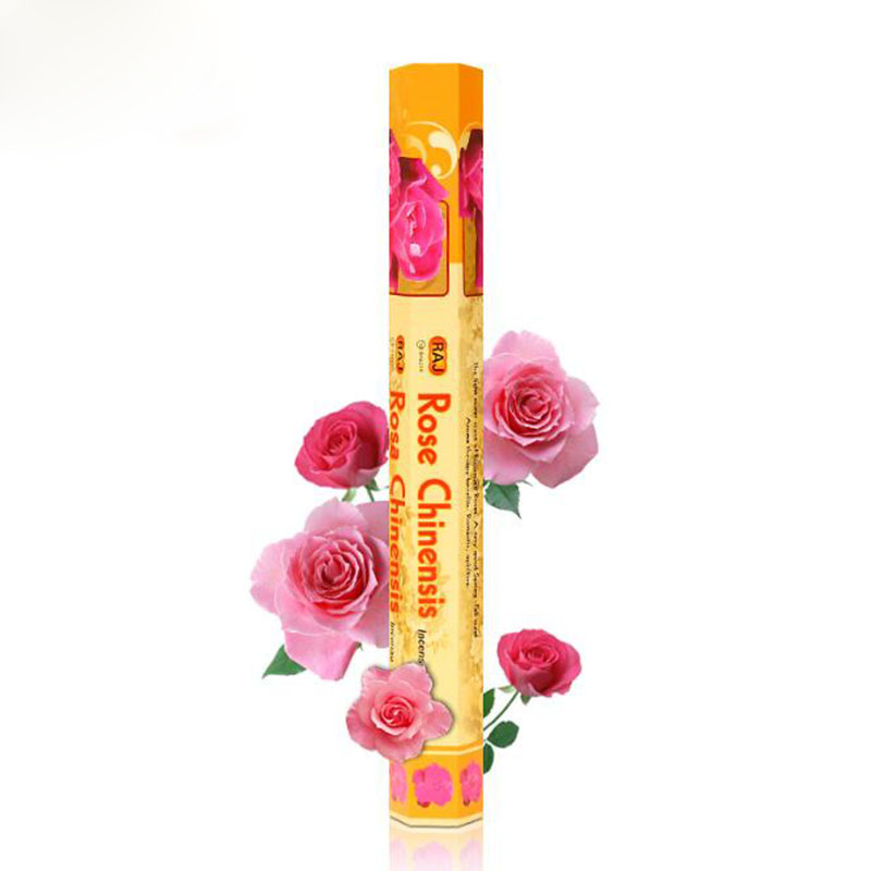 الهند المستوردة روز Chinensis  - مراجعة Candle Supplies India وسعره