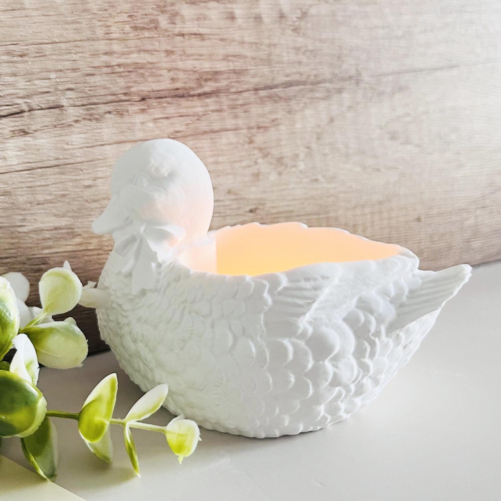 جميل الجص بطة صندوق تخزين قالب - مراجعة Candle Making Supplies Jars وسعره